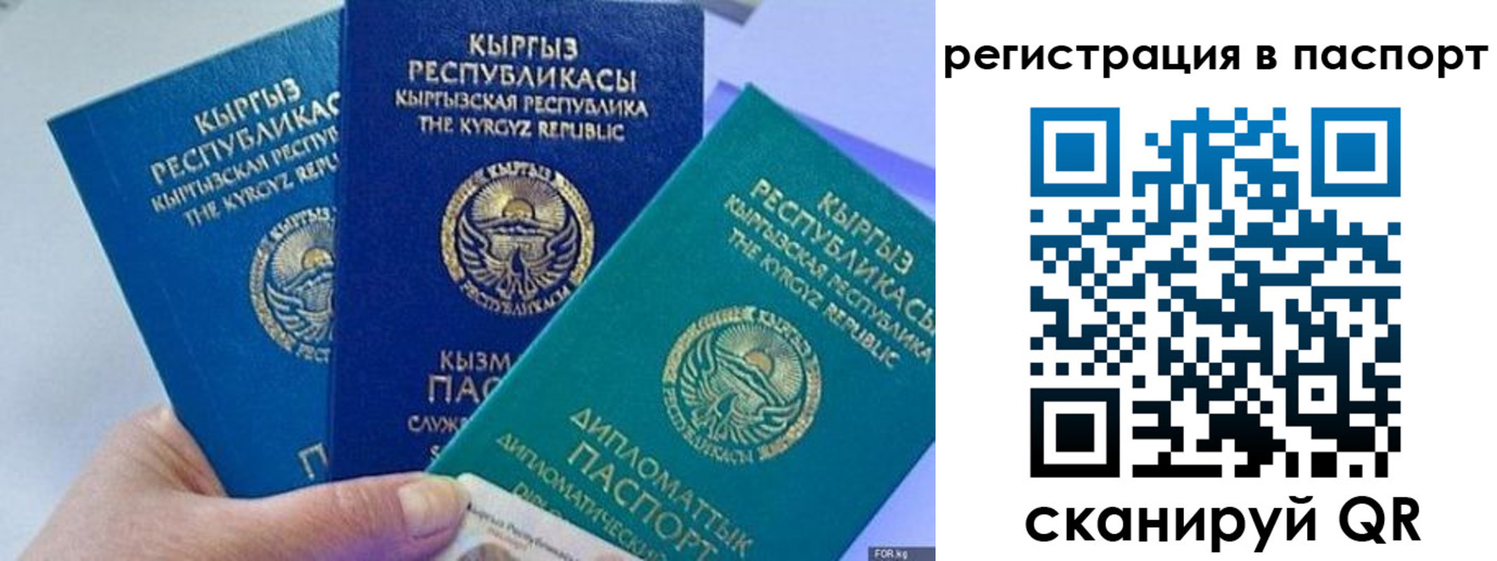 прописка 2025 в Волчанске
